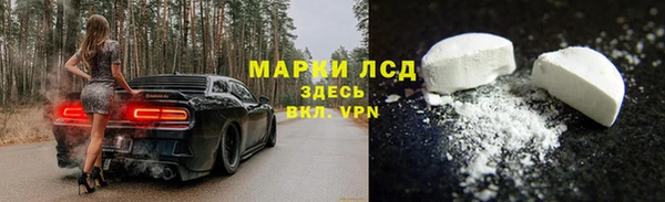 стаф Беломорск